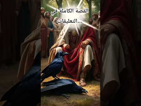 قصة الغراب ونبي الله سليمان سر إسم مدينة نابلس اكسبلور قصص معجزات تيك توك قصة علم ترند