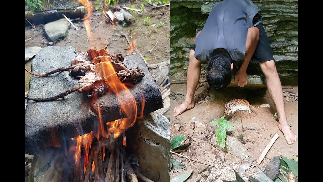 Primitive Technology: Animal Traps and Cooking Primitive Way