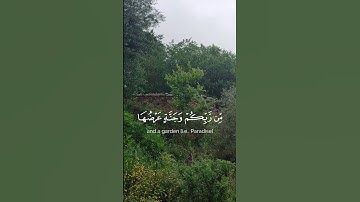 القارئ الشيخ اللحيدان #خشوع #طمأنينة_لقلبك