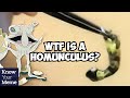 What Is A Homunculus Smiling Friends Reference To Russian Experiment Videos Explained 