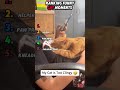 AMAZING AND AMUSING CATS TOP RANKING#funny #shorts