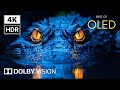 Unbelievable Dolby Vision 4K HDR Video ULTRA HD | 60FPS Cinematic Demo