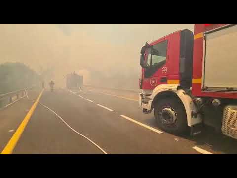 שריפה גדולה סמוך לשורש: כביש מספר 1 נחסם לתנועה. צילום: כבאות והצלה מחוז ירושלים