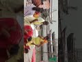 Chath puja ka special video from Banaras ka full vlogs with Roshan #shorts #chathvlog #chathpuja