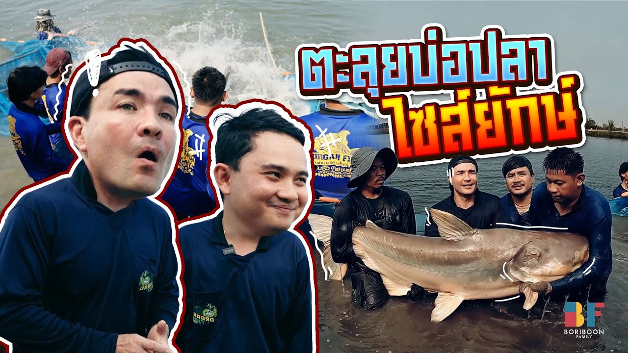 บ่อปลาที่นี้เขาเลี้ยงยังไงให้ตัวใหญ่ได้ขนาดนี้ | Boriboon Family