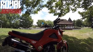 Is The Honda Msx 125 Grom A Good Starter Bike?