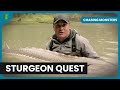 Encounters with giant sturgeon  chasing monsters  s02 ep01  nature  adventure documentary