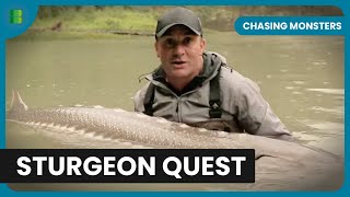 Encounters with Giant Sturgeon - Chasing Monsters - S02 EP01 - Nature & Adventure Documentary