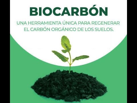 Video: ¿Cuánto biocarbón debo utilizar?