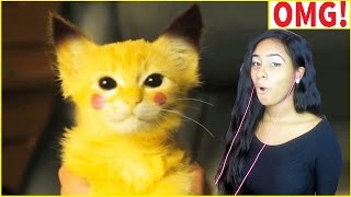 Cute Cats And Funny Kittens Videos Compilation 2016 - CAT compilation Cute Cats And Funny Kittens Videos Compilation 2016 - CAT compilation