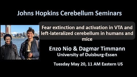 Enzo Nio and Dagmar Timmann: Fear extinction and the cerebellum