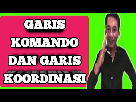 Garis Komando Garis Koordinasi Dalam Struktur Organisasi Elia Karaeng Youtube