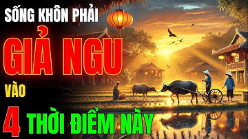 SỐNG KHÔN Phải Biết GIẢ NGU Trong 4 TRƯỜNG HỢP Này - Ngẫm Cực Thấm Cổ Nhân Dạy