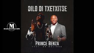 Prince Benza  -  Dilo Di Txentxitse ft  Dr Malinga  - { Audio}