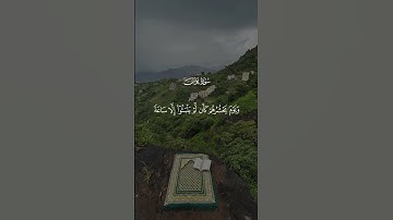 تلاوه خاشعه للشيخ سعد الغامدي #المصحف #اكسبلور
