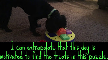 Extrapolate: MNMS Word of the Week Video #2