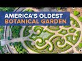 Why one of americas first botanical gardens came to st louis