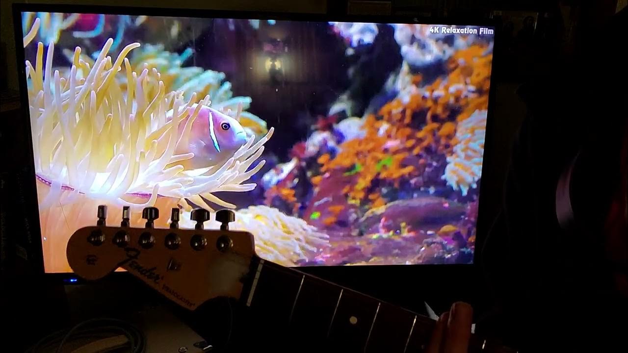 Neptune's Garden YouTube