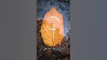 فَإِنَّكَ لَا تُسْمِعُ الْمَوْتَىٰ وَلَا تُسْمِعُ الصُّمَّ الدُّعَاءَ "" القارئ إبراهيم أحمد لطفي.