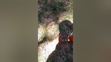 Easy way to put Tiki torches in the ground