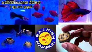 அழகான வண்ண மீன்கள் | Raj Fish Aquarium | Baskar&#39;s Review பகுதி 1