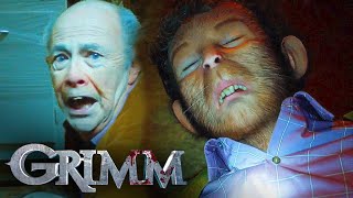 Wesen Trauma | Grimm