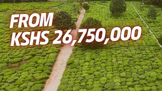 Discover Tigoni Luxury Living | 3-Bedroom Villas for Sale in Kenya