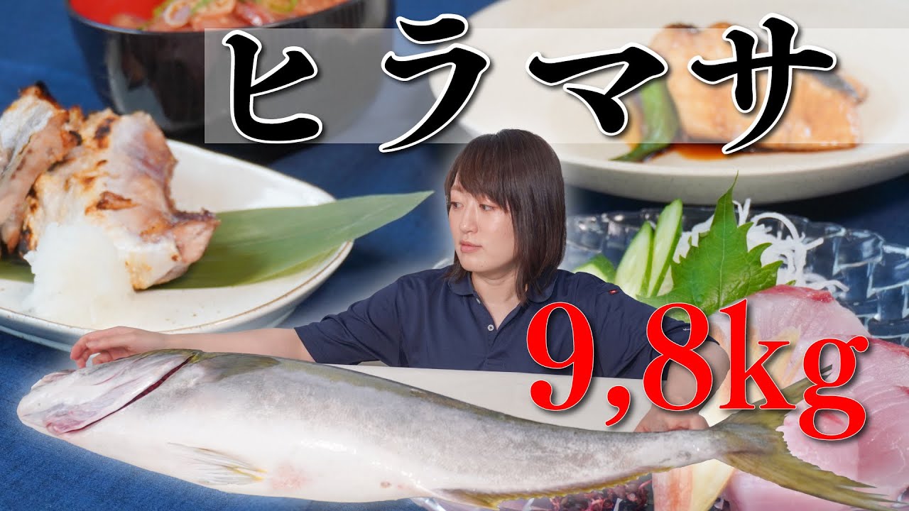 Yellowtail Amberjack] A 9.8kg monster‼️ I turned my favorite fish