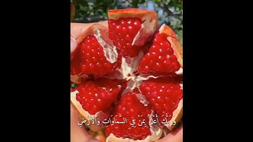القارئ: وديع اليمني