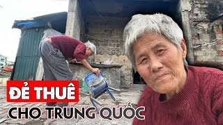 Kinh Hãi Câu Chuyện Bà Cụ Bắt Đẻ Thuê Cho Trung Quốc Sống Cảnh Thân Tàn Tuổi Già I Phong Bụi