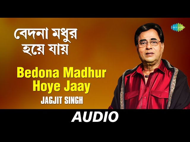 Bedona Madhur Hoye Jaay | Bangla Ganey Parampara | Jagjit Singh | Audio class=