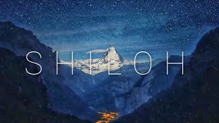 Shiloh dynasty Late night vibes