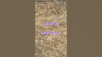 قال الله تعالى في سورة ابراهيم