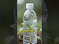 DIY Mini Greenhouse from Plastic Bottles
