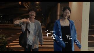 映画『猫を放つ』特報