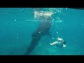 Steve Aoki Swims With Whale Sharks in Cebu, Philippines 2017