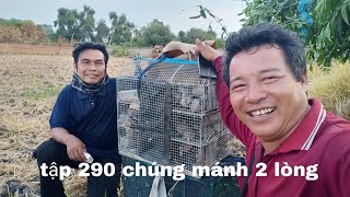 tập 290 chúng mánh bầy cu tiểu và bầy cu gáy 2 lòng đầy