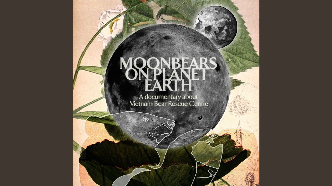 Sof Llb adlı videoyu YouTube'da izle Sof Llb adlı videoyu YouTube'da izle