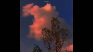 (FREE FOR PROFIT) daylight - ukulele powfu x rxseboy type beat
