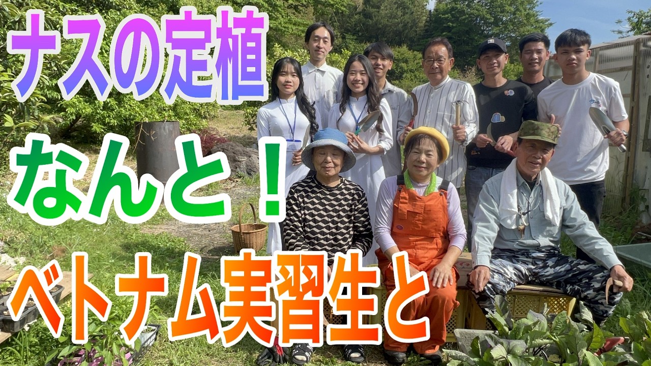 ベトナムの研修生とナスの定植をします!