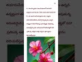 #worlddrama - వరల్డ్ డ్రామా #youtubeshort #telugu