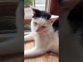 he is 1 years old