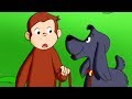 Curious George 🐵 Charkie Goes to School 🐵 Kids Cartoon 🐵 Kids Movies | Videos for Kids