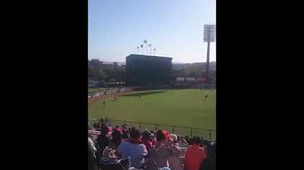 プロ野球 ライブ