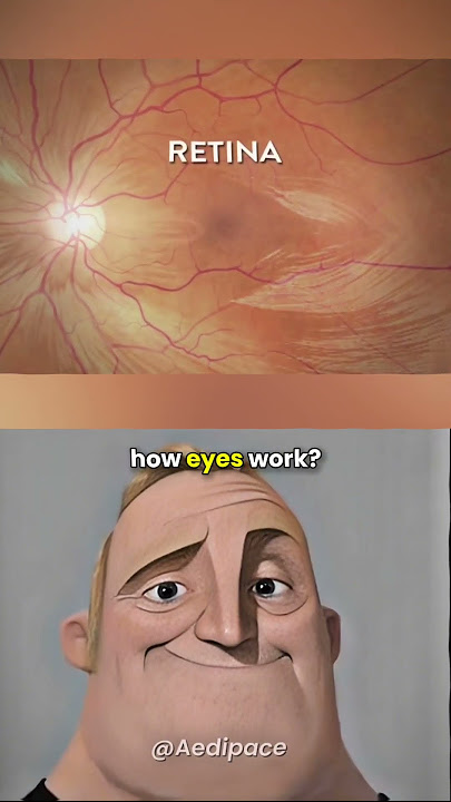 This is how human eye works! #shorts #earth #virall #human