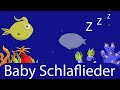 💤 Baby Beruhigungsmusik 👶 Schlaflied zu Einschlafhilfe