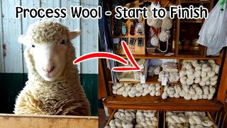 Raw Wool Processing Start to Finish  Sheep & Alpaca Fleece