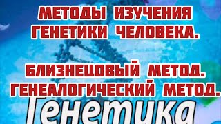 Методы изучения генетики человека. Близнецовый метод. Генеалогический метод.