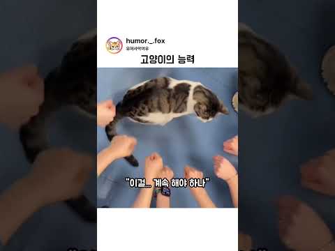 숨은간식찾기 #shorts thumbnail