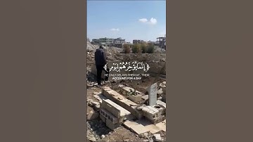 #تلاوة_خاشعة  آيات من كتاب الله راحة لقلبك وسمعك #القرآن_الكريم #دويتو #الرحمن #اكسبلور #راحة_نفسية